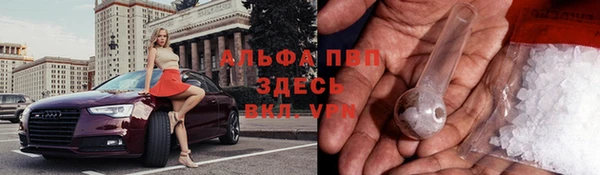 дживик Алексин