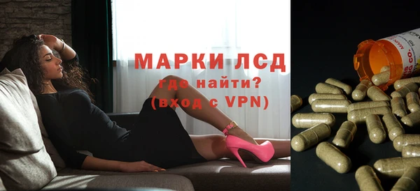 индика Алексеевка