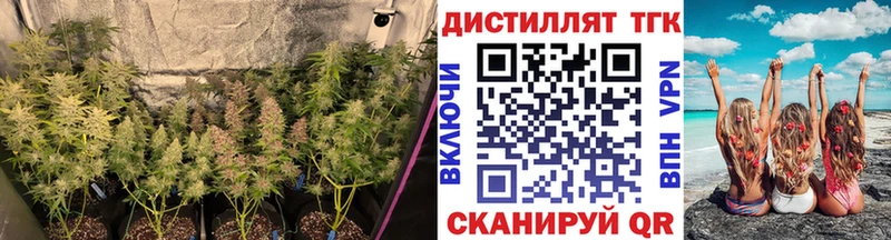 наркота  blacksprut ССЫЛКА  ТГК вейп  Дмитров 