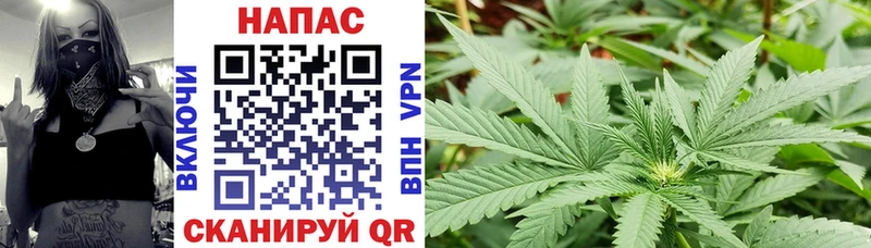 площадка Telegram  Дмитров  МАРИХУАНА план 